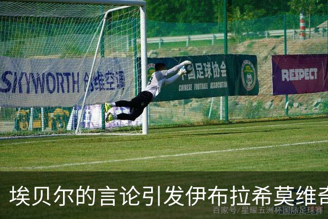 埃贝尔的言论引发伊布拉希莫维奇的不满与困惑